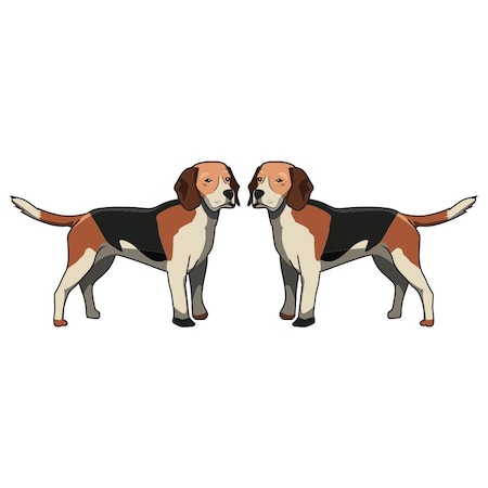 Signmission English Foxhound Dog Decal, Dog Lover Decor Vinyl Sticker D-24-English Foxhound